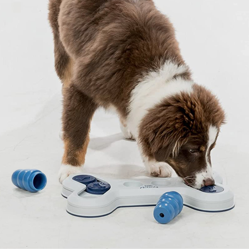 Dog Activity - Jouet Éducatif Flip Board pour Chien