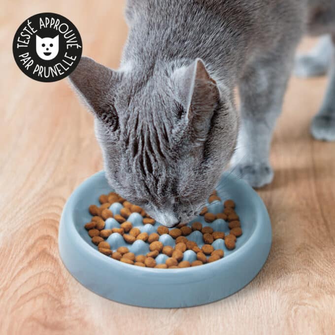 Gamelle anti glouton pour forcer le chat à manger lentement