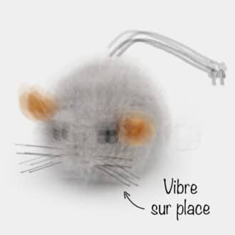 Souris vibrante qui bouge pour chat