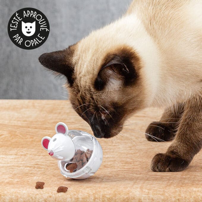 Balle souris distributrice de croquettes pour chat