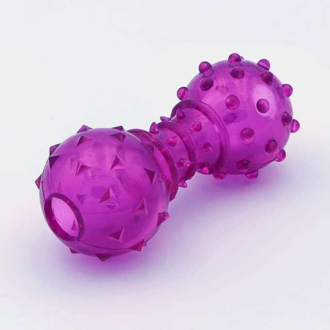 distributeur-macher-croquettes-friandises-chien-2 Distributeur transparent pour chien avec picots en forme d'haltère