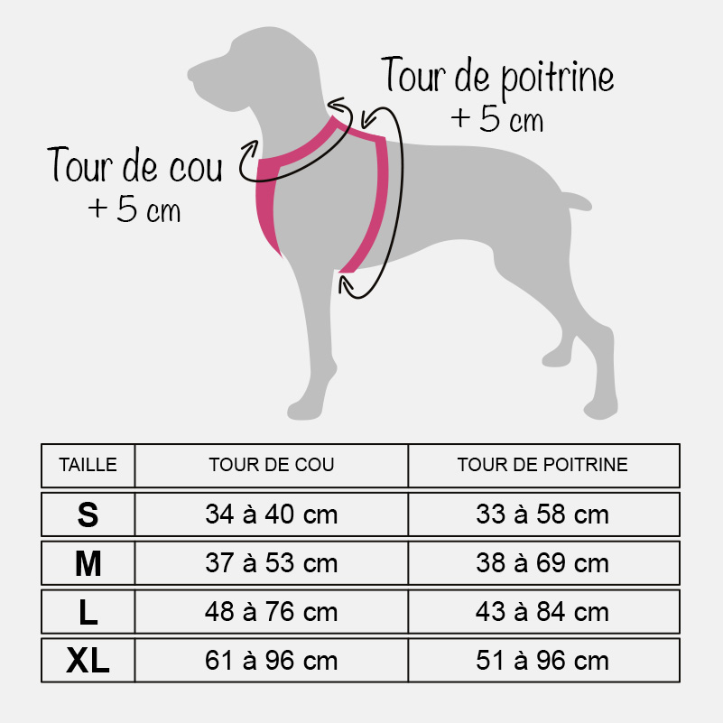 Guide des tailles harnais chien anti traction en Y par poids