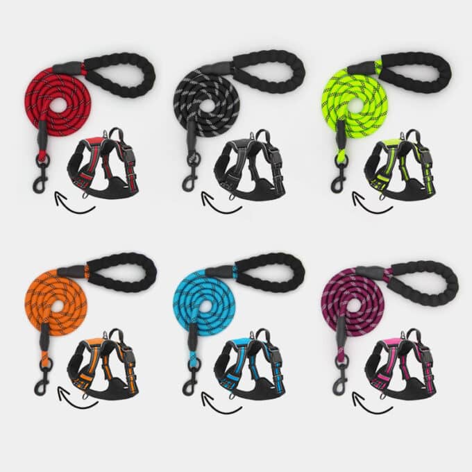 harnais-chien-anti-traction-laisse harnais anti-traction et laisse chien en corde d'escalade ronde et réfléchissante
