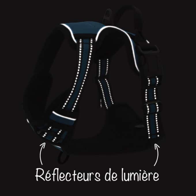 harnais-chien-anti-traction-lumineux-nuit Harnais chien anti-traction lumineux la nuit