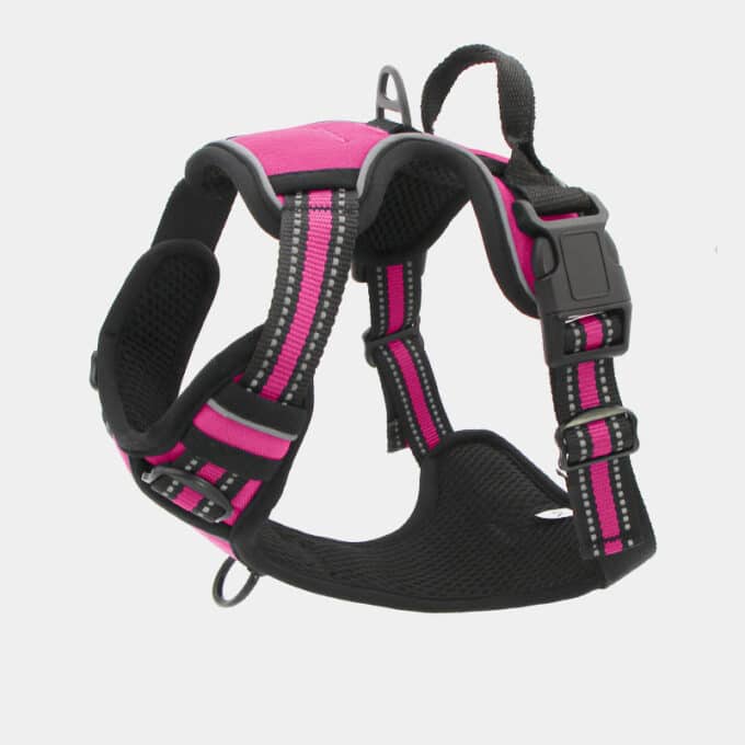 harnais-en-Y-anti-traction-chien-qui-tire-24 Harnais en Y pour chien anti-traction