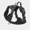 harnais-en-Y-anti-traction-chien-qui-tire-26 Harnais en Y pour chien anti-traction