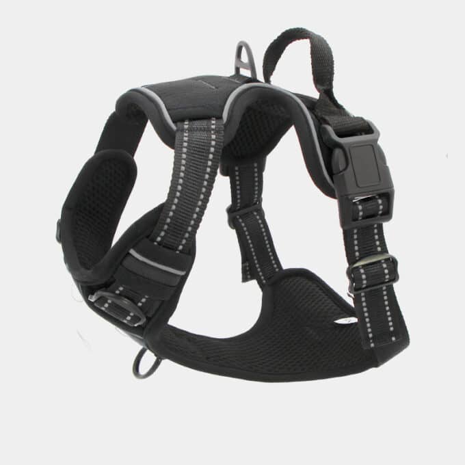 harnais-en-Y-anti-traction-chien-qui-tire-26 Harnais en Y pour chien anti-traction
