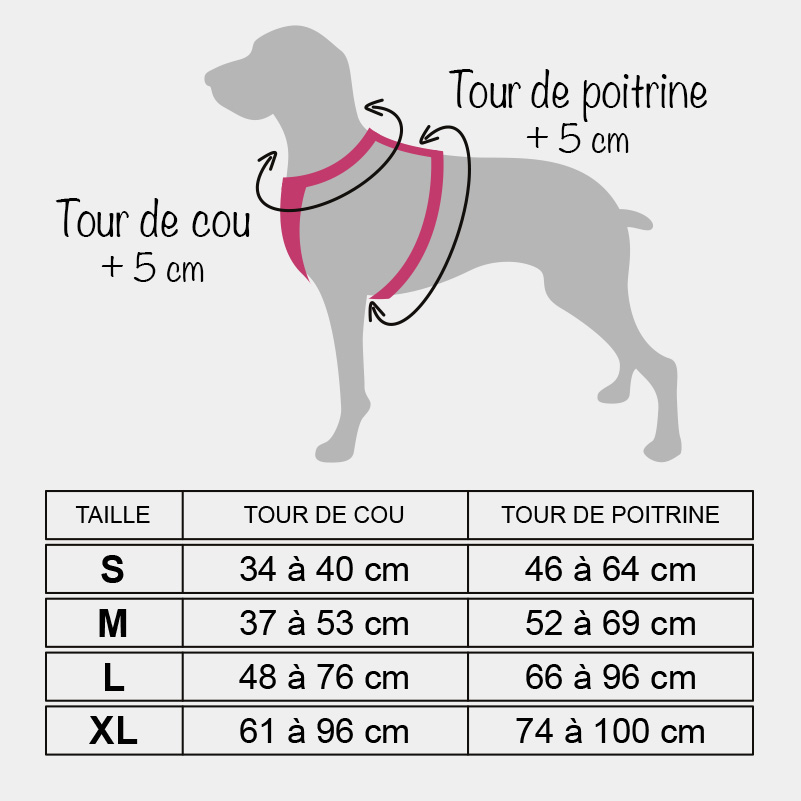 Guide des tailles harnais chien anti traction