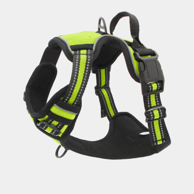 harnais-en-Y-anti-traction-chien-qui-tire-51 Harnais en Y pour chien anti-traction