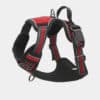 harnais-en-Y-anti-traction-chien-qui-tire-55 Harnais en Y pour chien anti-traction