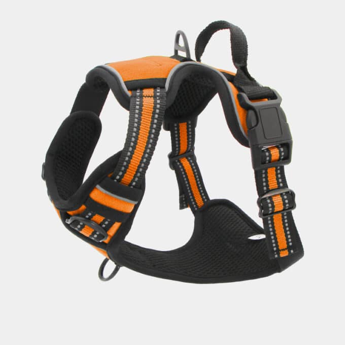 harnais-en-Y-anti-traction-chien-qui-tire-56 Harnais en Y pour chien anti-traction