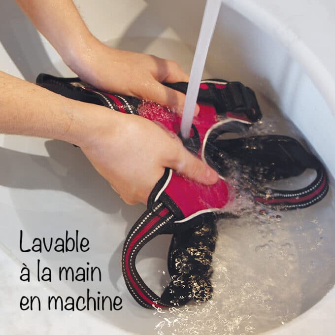harnais-en-Y-anti-traction-chien-qui-tire-75 Harnais en Y pour chien anti-traction