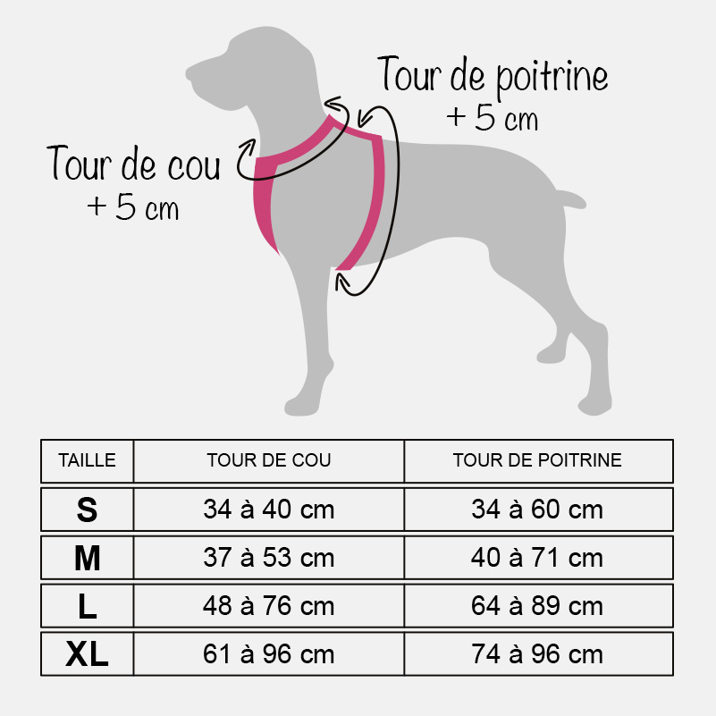 Guide des tailles harnais chien anti traction par poids