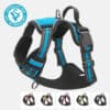 harnais-en-Y-anti-traction-chien-qui-tire-81 Harnais en Y pour chien anti-traction