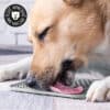 tapis-lechage-chat-chat-plateau-assiette-lecher-8 Tapis de léchage pour chien et chat
