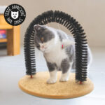 Arc de massage pour chat ou arche en brosse auto-toilettage