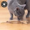 Bâton et fruit de matatabi pour chat avec raphia et ficelle de jute