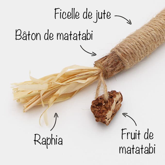 Bâton et fruit de matatabi pour chat avec raphia et ficelle de jute