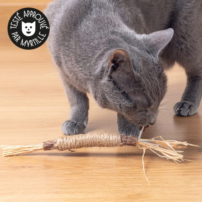 Bâton et fruit de matatabi pour chat avec raphia et ficelle de jute