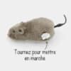 jouet-interactif-souris-chat-bouge-2 Souris interactive sur roues qui avance pour chat
