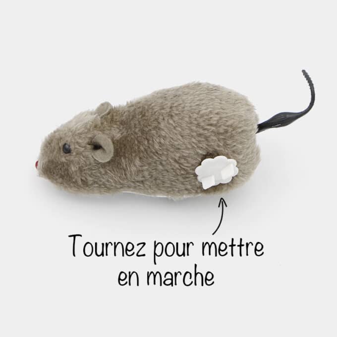 jouet-interactif-souris-chat-bouge-2 Souris interactive sur roues qui avance pour chat