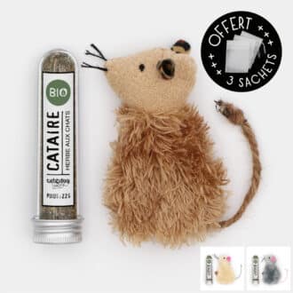 Jouet souris avec poche rechargeable à remplir d'herbe à chat