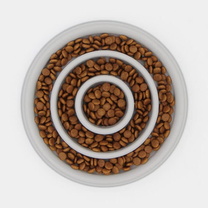 Meilleure gamelle anti-glouton pour petit et gros chien