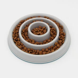 Meilleure gamelle anti-glouton pour petit et gros chien