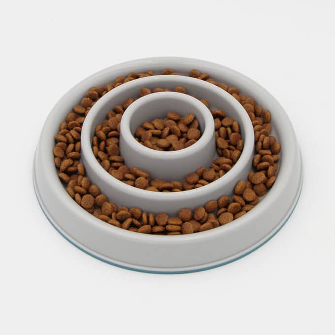 Meilleure gamelle anti-glouton pour petit et gros chien