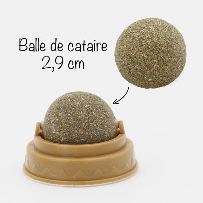 balle-boule-herbe-chat-cataire-murale-lecher-16 Boule d'herbe à chat cataire murale à lécher