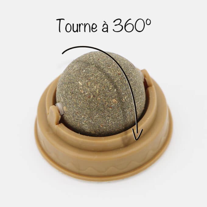 balle-boule-herbe-chat-cataire-murale-lecher-17 Boule d'herbe à chat cataire murale à lécher