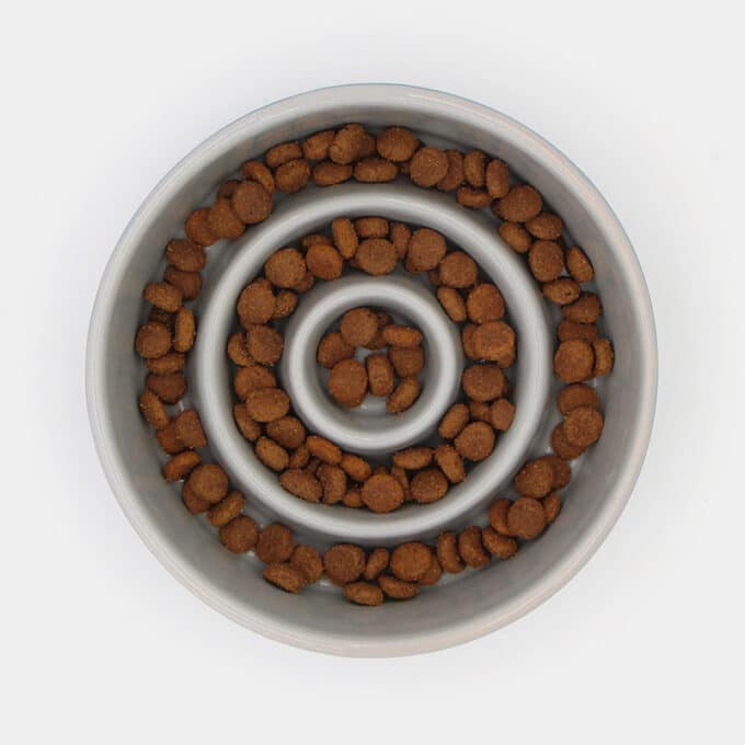 gamelle-anti-glouton-ceramique-chat-chien-3 Gamelle anti glouton céramique chat et chien