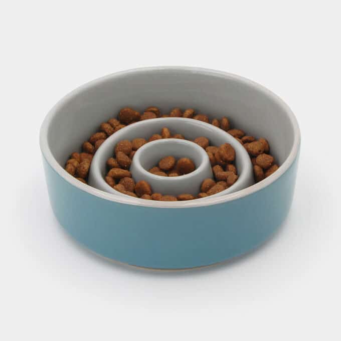 gamelle-anti-glouton-ceramique-chat-chien Gamelle anti glouton céramique chat et chien