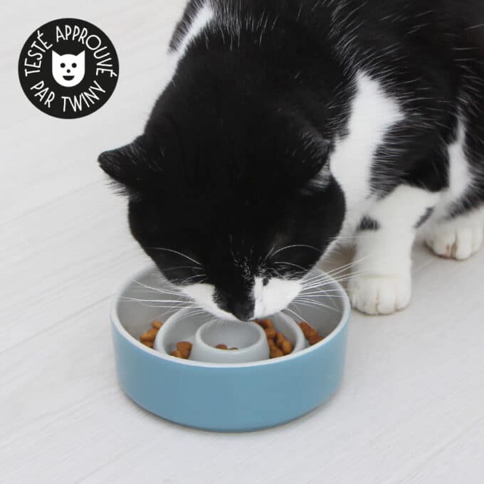 gamelle-anti-glouton-ceramique-chat-chien-8 Gamelle anti glouton céramique chat et chien