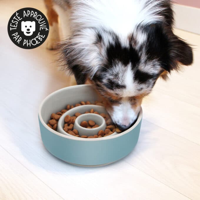gamelle-anti-glouton-ceramique-chat-chien-9 Gamelle anti glouton en céramique pour chien