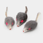 Petites souris grises pour chat