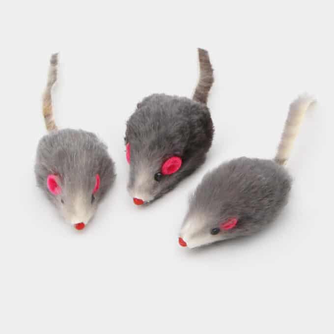 petite-souris-chat-1 Petites souris grises pour chat