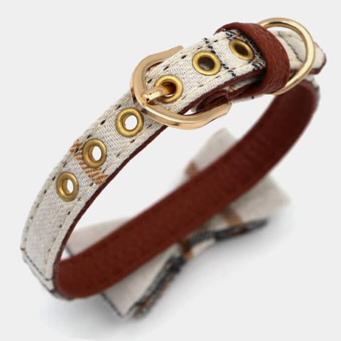 collier noeud papillon tartna beige pour chien, chiot ou chat