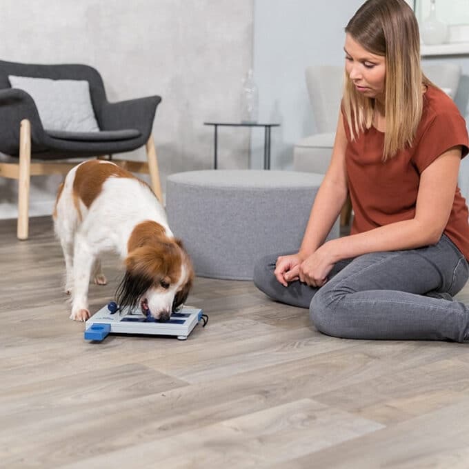 jouet alimentaire interactif de stratégie et d'intelligence Dog Activity Trixie Mini Mover pour le chien