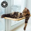 hamac de fenêtre pour chat se fixant avec des ventouses à une vitre