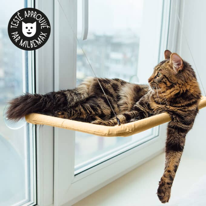hamac de fenêtre pour chat se fixant avec des ventouses à une vitre