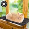 hamac de fenêtre pour chat se fixant avec des ventouses à une vitre