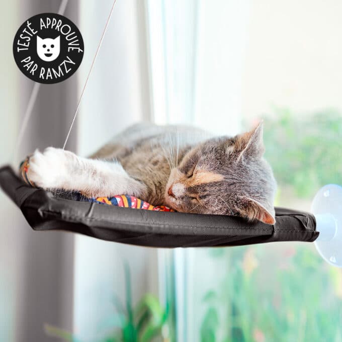 Transat de fenêtre pour chat