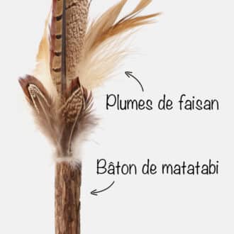 Bâton de matatabi avec plumes pour chat
