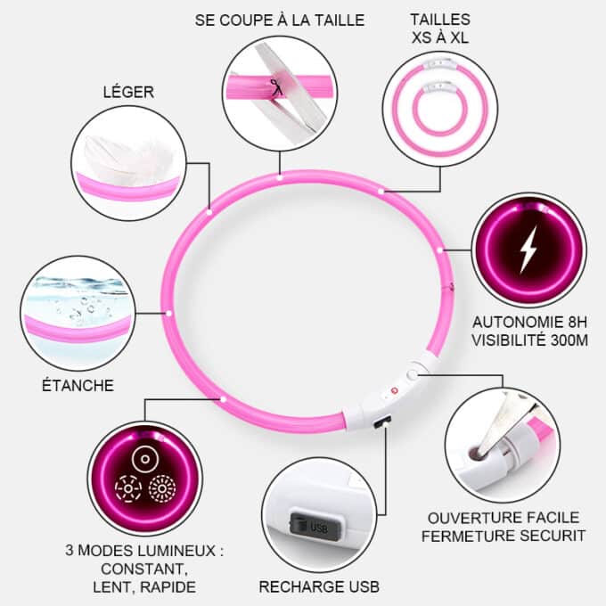 Collier lumineux rechargeable chien à poil long ou court de XS à XL