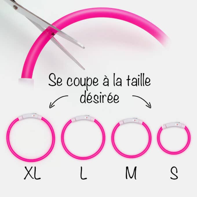 Collier lumineux rechargeable chien à poil long ou court de XS à XL