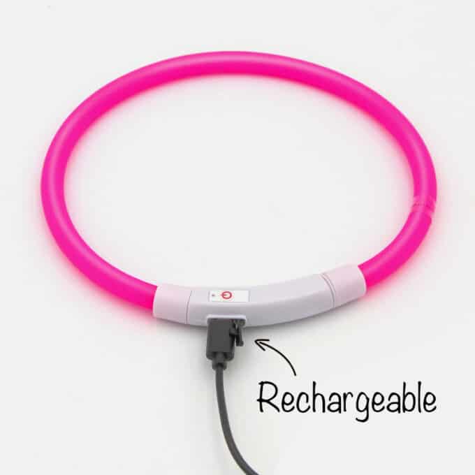 Collier lumineux rechargeable chien à poil long ou court de XS à XL