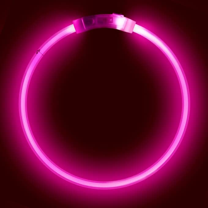 Collier lumineux rechargeable chien à poil long ou court de XS à XL