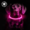 Collier lumineux rechargeable chien à poil long ou court de XS à XL