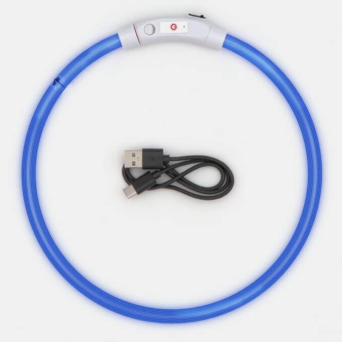 Collier lumineux rechargeable chien à poil long ou court de XS à XL